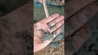 АБИССИНКА 22М,ВОДА БЕЗ ЖЕЛЕЗА#абиссинскаяскважина#свояскважина52#shorts