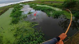 Somente aqui debaixo dessa ponte tem bagre gigante albino.Pesca caipira.