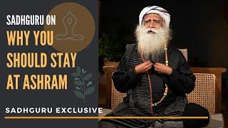 Sadhguru On Full Time Volunteering At Ashram | Isha Yoga Center