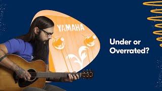 5 BEST Yamaha Acoustic Guitars [Cheap!]  Acoustic Tuesday 199