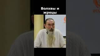 Кто такие волхвы и жрецы? — А.В. Трехлебов