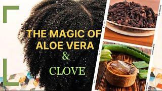 THE MAGIC OF ALOE VERA & CLOVES! Do not use this ingredients if you are not ready for Hair Growth