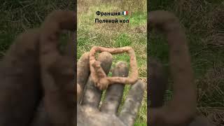 #франция #коп #metaldetecting #приключения #лесной #полевой #старина #хобби