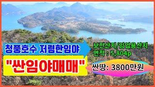 저렴한임야매매 청풍호수근접한위치 소액임야투자 보전산지 임업용산지 농림지역 면적19,187㎡(5,804p)  매매 3800만원