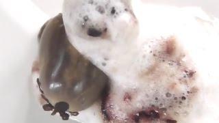 Injecting Hydrogen Peroxide 30% into tick full of blood | Hydrogen Peroxide killing ticks