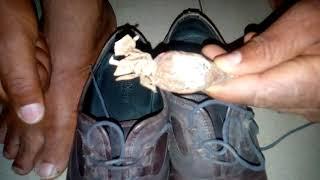 PUT ALLIGATOR PEPPER SEED INSIDE  YOUR SHOE TO GET FAVOR@ekene ekenkwo