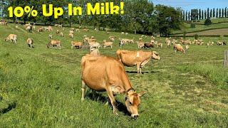 Herd Test Results, How Much Milk Is The Top Cow Giving Once A Day