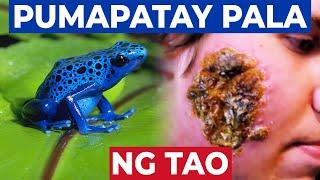 10 Pinaka MAKAMANDAG na Hayop sa Buong Mundo