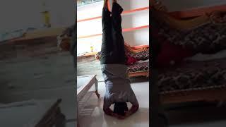 Shirshasana for beginners/शीर्षासन/#yoga #shirshasana #shirshasan#shortvideo  #yogaforbeginners