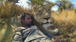 GoPro: Lions - The New Endangered Species?