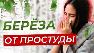 Береза от простуды. Березовый деготь