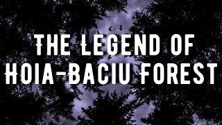 The Disturbing Legends of Hoia-Baciu Forest - NoSleep Stories w/ Rain & Thunder Sounds | Mr. Davis