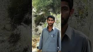 Shaheed Farooq jan day #balochisong #duet #account #sindhisong #song #new #baloch #tanveer #2022