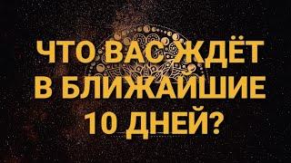 СрочноЧто на пороге?Точный цыганский расклад на Червовую ДамуГАДАНИЕ на игральных картах |18+