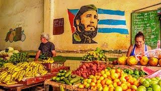 IS EVERYTHING FREE IN CUBA? How are the living conditions in Cuba? Market and market prices in Cuba