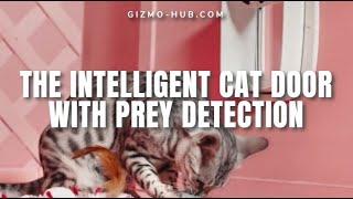 PAWLY DOOR : THE INTELLIGENT CAT DOOR WITH PREY DETECTION | Kickstarter | Gizmo-Hub.com