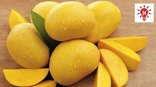 আমের রাজা আলফানসো | কি কেন কিভাবে | Alphonso Mango | Ki Keno Kivabe