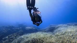 Cyprus, Zypern, Snorkeling, Schnorcheln, Diving, Herbies Diving Paradies, Green Bay