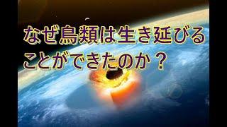 鳥類の先祖は白亜紀末の大量絶滅を生き延びている