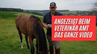 Ich wurde beim veterinär Amt angezeigt das ganze Video