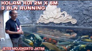 POPULATION DENSITY AT KOI POND WORKS 3 MONTHS AGO |  JETIS MOJOKERTO JATIM