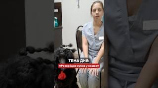 Что такое резорбция зубов и как с ней бороться - рассказывает стоматолог клиники Смотрова А.М.