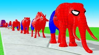 Paint Animals Spiderman Cow,Gorilla,Buffalo,Bull,Hippo,Dinosaur,Mammoth Fountain Crossing Animal Gam