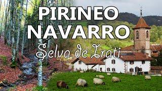 PIRINEO NAVARRO - Selva de Irati (Octubre 2024)