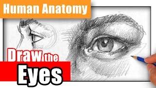 How to Draw the Eye - Different Angles