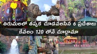 Tirumala 6 places to visit in Rs 120/- || Must visiting places || Vikram vihari