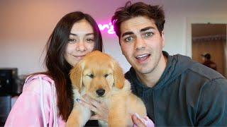 Surprising Mia With Dream Dog!!