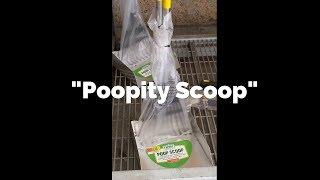 "Poopity Scoop"