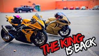 The Suzuki Hayabusa King Of The Streets?  GSX-R1000R vs BMW s1000rr vs Kawasaki zx10r vs Hayabusa