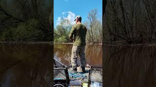 БУДНИ РЫБАКА. Когда рыбалка - это отдых для души. #shortsvideo #shortvideo #shorts #short