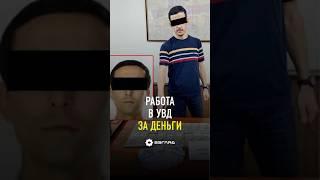 В Узбекистане поймали мошенников, обещавших работу в УВД за деньги #новости #узбекистан
