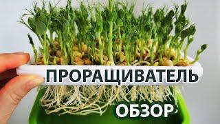 Где лучше растёт микрозелень? Обзор доступных проращивателей для микрозелени, их плюсы и минусы