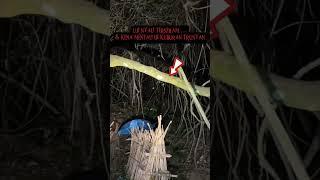 UJI NYALI TERSERAM ..! kena mental wisata mistis di kuburan TRUNYAN #angker #mistis #trunyan