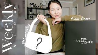 UNBOXING FAVOURITE GIFT    / momo for dinner with mom / garden updates / weekly vlog - NSVLOGS