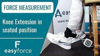 Measuring the Isometric Muscle Forces of Knee Extension - EasyForce Digital Dynamometer