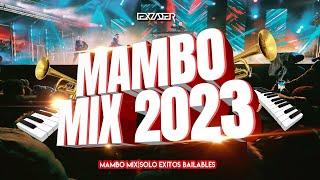 MAMBO MIX 2023  - (Vagabundo, El Merengue, Diva Virtual, Soy Peor, Pepas, Dakiti, Despecha, Omega)