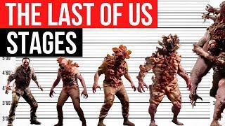 Evolution of the Cordyceps Fungus in The Last of Us | Life Cycle