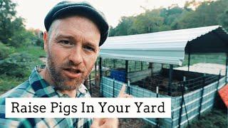 How to Raise 2 Pigs in a Tiny Backyard (10’X20’)