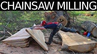 HUGE CHAINSAW MILLING JOB!! 45 Foot White Oak!!!