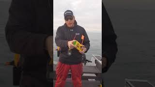 Fishing Addiction Gear Board Rigging - Hawg Outdoor Release