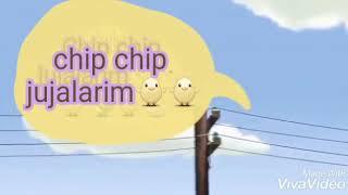 Chip chip jujalarim