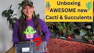 Unboxing AWESOME new Cacti & Succulents #cactus #cacti #cactusplants