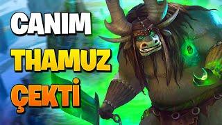 CANIM THAMUZ ÇEKTİ