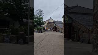 Все, как у нас... #куры #какашки #дрова #деревня #shortvideo #шортс #caminofrancés #caminosantiago