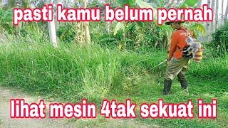 SEJARAH MESIN RUMPUT 4 STROKE PALING POWER YANG BELUM PERNAH ANDA LIHAT