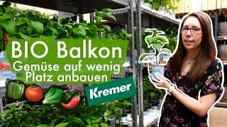 BIO Balkon - Gemüse anbauen bei wenig Platz - @dienaturtalente  | MICEKÖRNCHEN